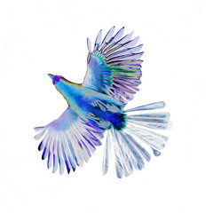 Grey Ghost - piano (Xenia Pestova) with soundtrack