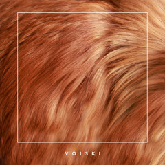 PREMIERE : Yarni - Voiski (Hacker & Miethig Remix)[Nie Wieder Schlafen]