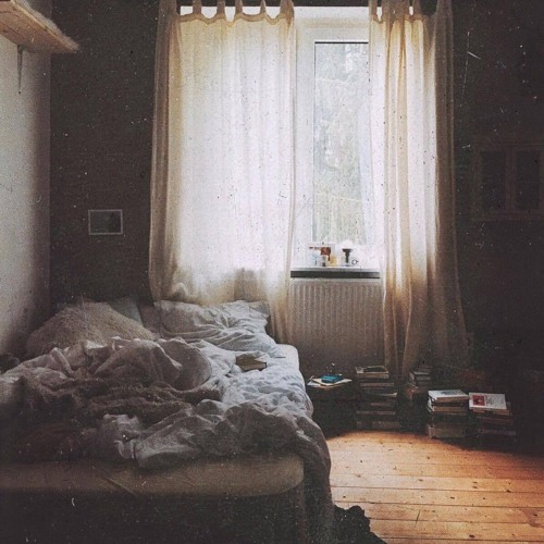 Shelter ft. alys