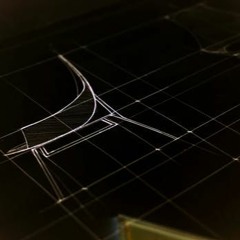 Feelar Oddshape - Into The Wild