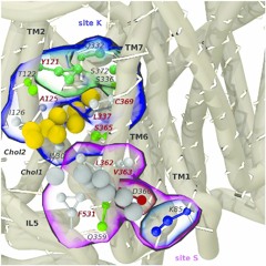 PVRPLEK X NOV26 X SUPER- FUCK U2