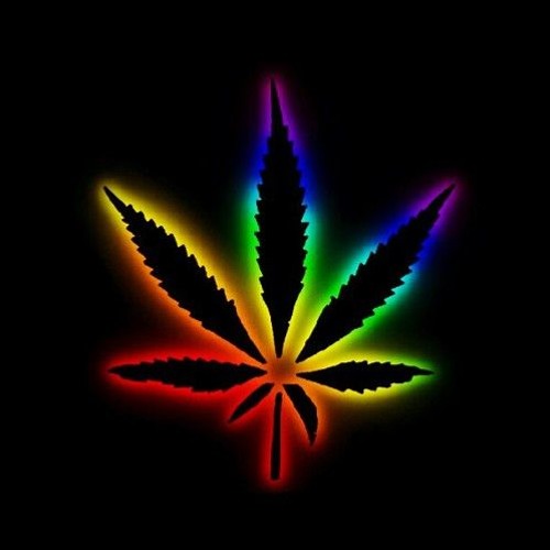 Weed's Lit (Canna-B Minimix)