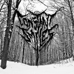 My Temple (From the upcoming album "Lost")
