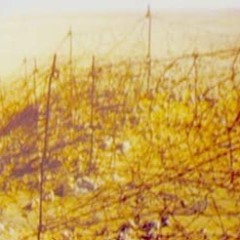 Simoom - Demo Version