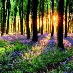 Dj Fergie Spring Mix 2018 (BOUNCE)