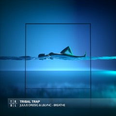 Julius Dreisig & LBLVNC - Breathe
