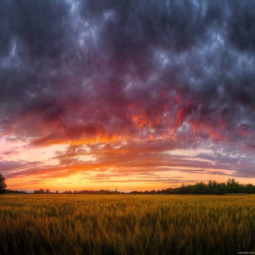 Storm Of Change by Mackenzie Madrone