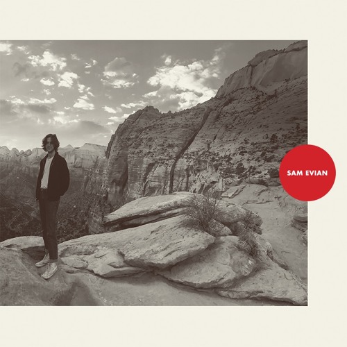 Sam Evian - Health Machine