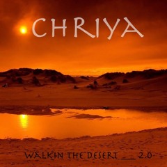 Walk'in The Desert (original mix)