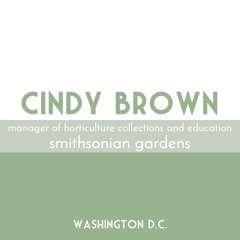Cindy Brown | Smithsonian Gardens