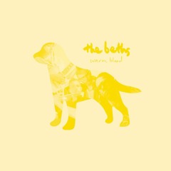 The Beths - Idea/Intent