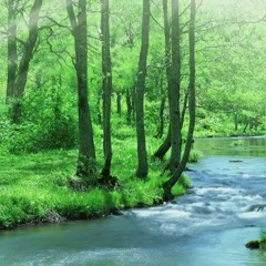 Beauty Of Nature