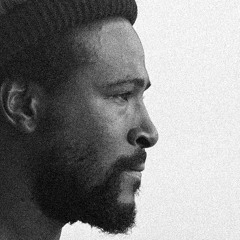 Marvin Gaye - Sexual Healing (BEAUTIFUL REWORK)