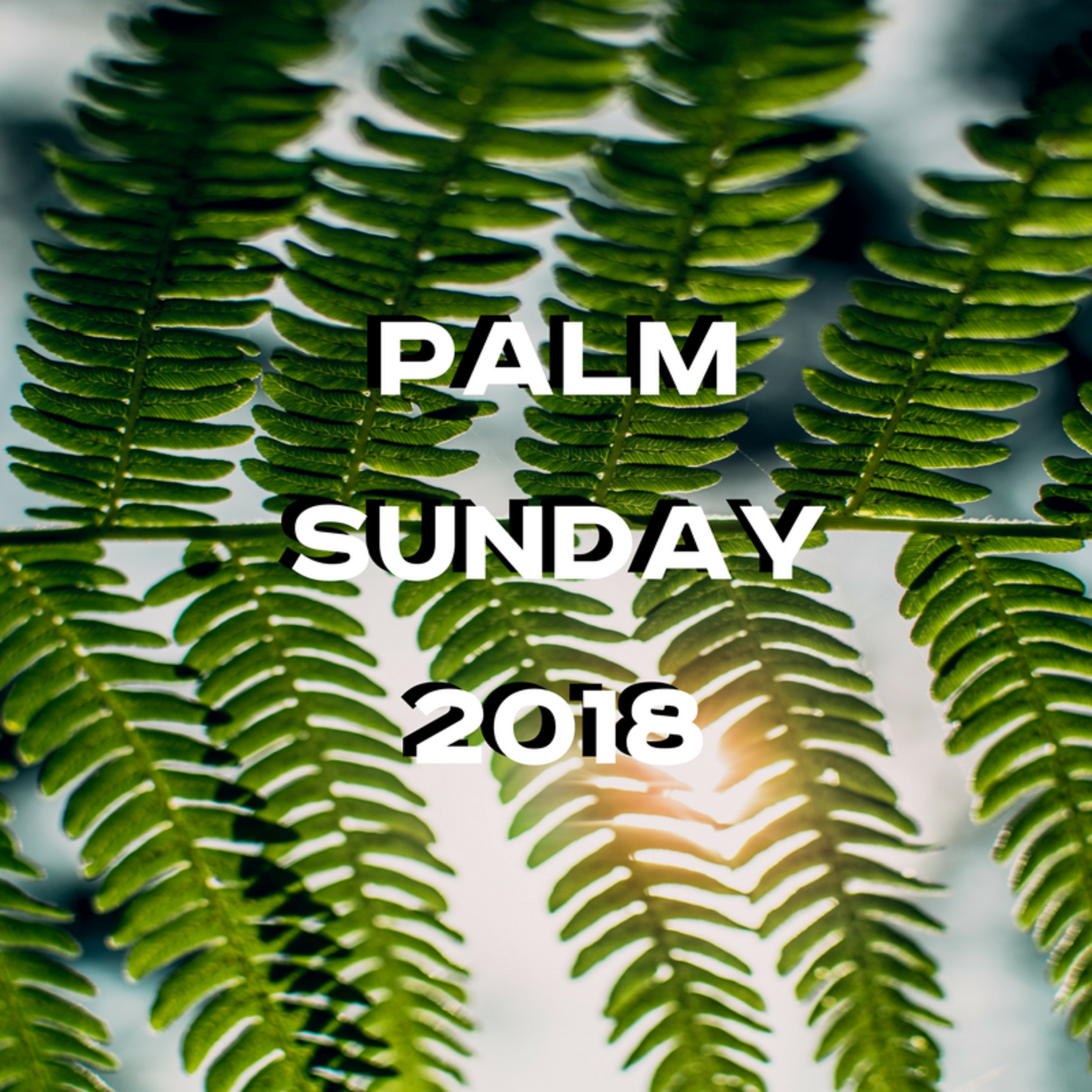 3-25-18a - Josh Pennington - Palm Sunday 2018 episode artwork