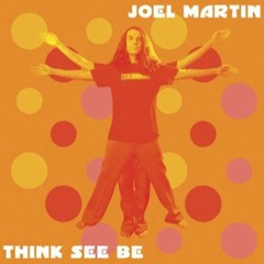 In The Aeroplane Over The Sea - Joel Martin