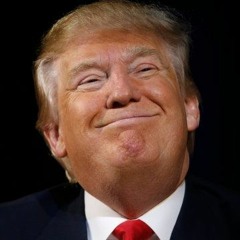 Lil Dumb-Trump sings FAKE NEWS
