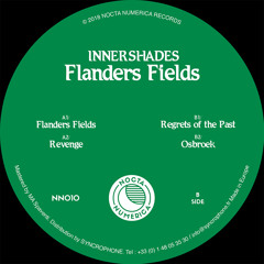 PREMIERE: Innershades - Regrets of the past [Nocta Numerica Records]