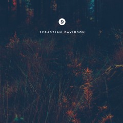 Voyage of Discovery 000