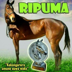 Ripuma song but Rax