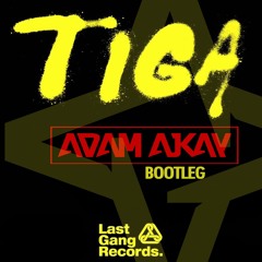 Tiga - Mind Dimension (Ajkay Bootleg)