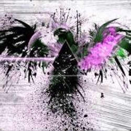 TGAOTV - BEAST (HAPPY SLAPS TV REFIX ALDI EDIT PUT A DONK ON IT)