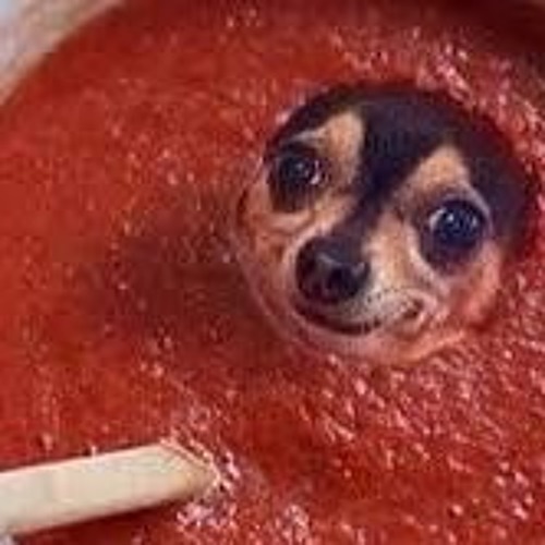 Lost in the $auce - IG : @8hunnid9inety3rd