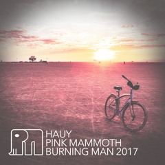 Hauy - Pink Mammoth - Burning Man 2017