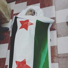 نشيد شهيد الثورتين طريف السيد عيسى