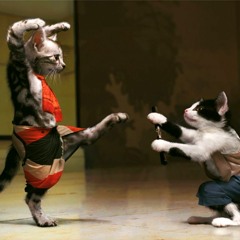 THE CAT DUET (ROSSINI)