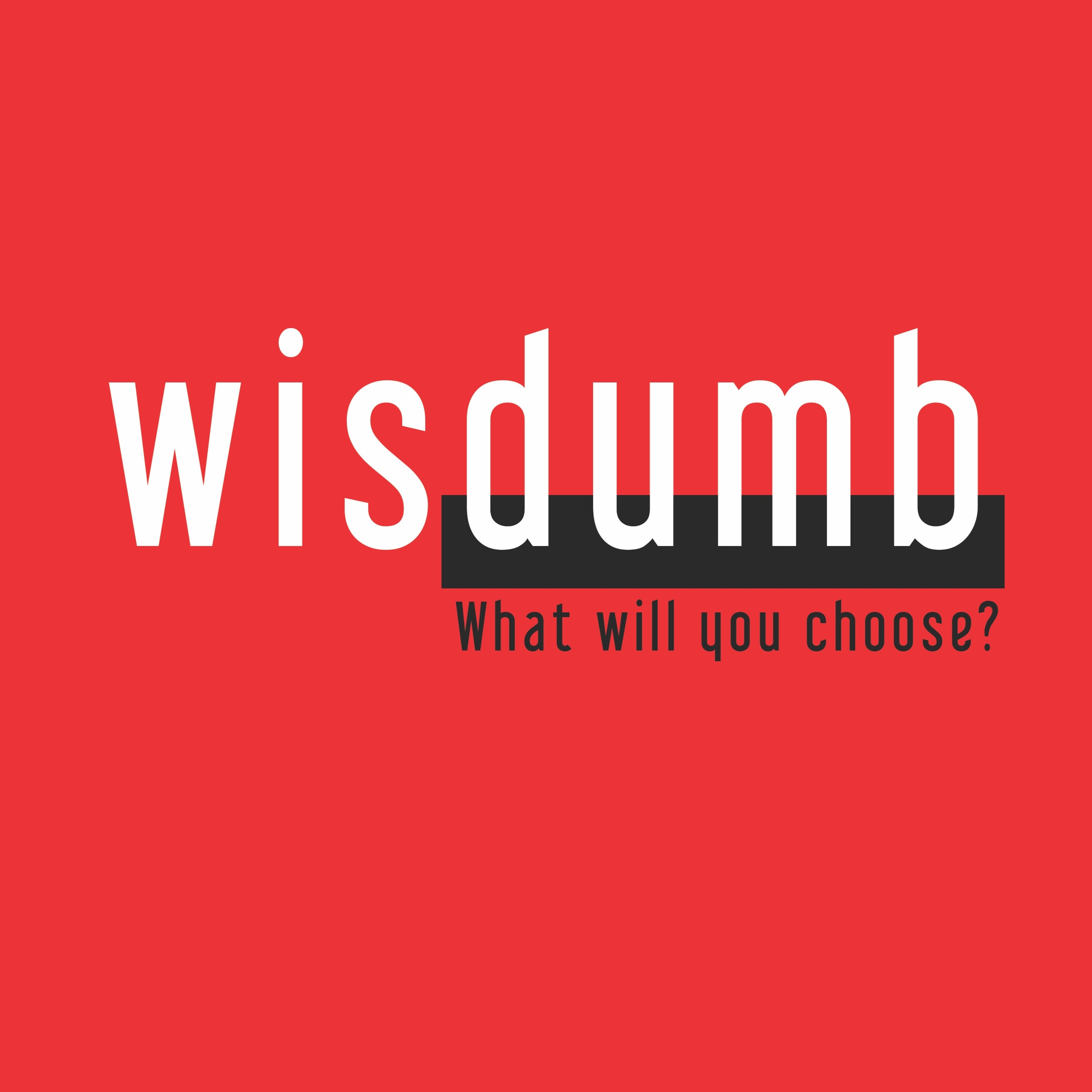 Wisdumb #7 Wisdom in the Age of the Internet 2018.03.25 episode artwork