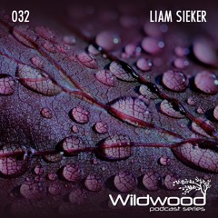 #032 - Liam Sieker