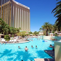 Bomb Weed, Palm Trees