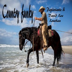 Country Funky - Paploviante