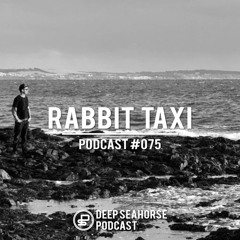 Rabbit Taxi - Deep Seahorse Podcast #075