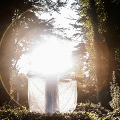 Precognition & Interdependence