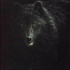 Wolves (Bon Iver Remix) (OKC 107)