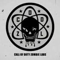 Treyarch - Verrückt Game Over
