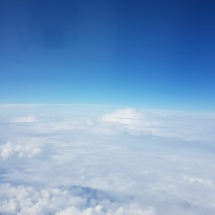Yokoo
