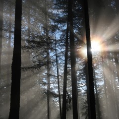 The continuum of something—nothing