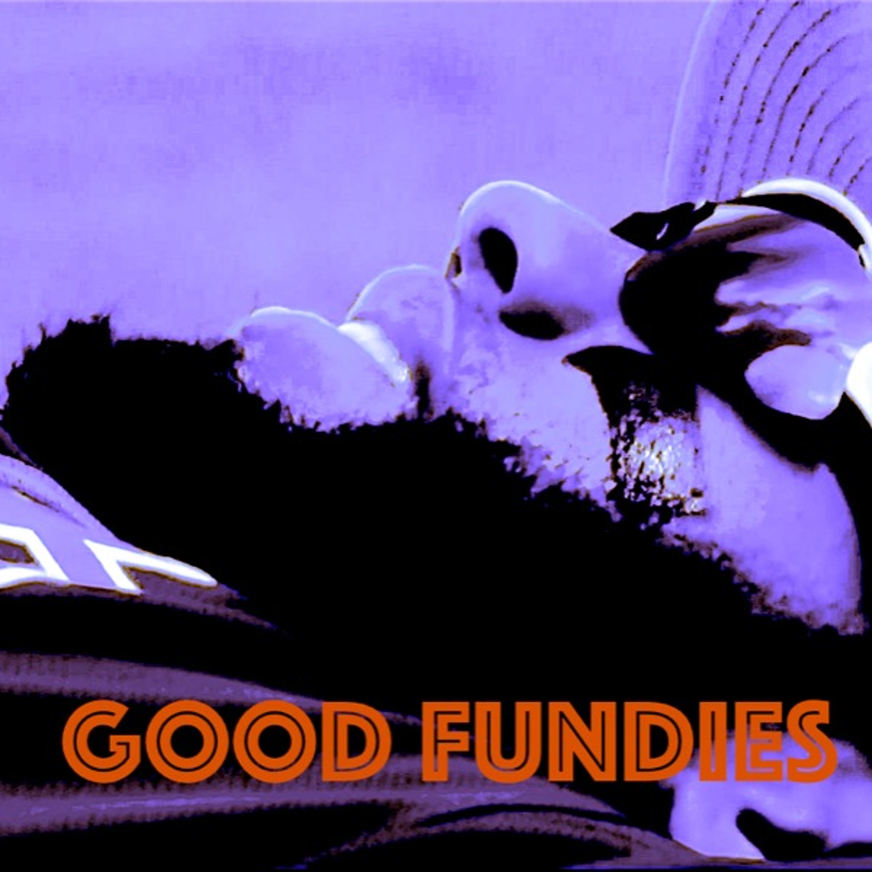 Good Fundies