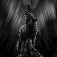 Wander Wolf
