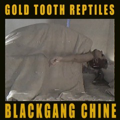 GOLD TOOTH REPTILES - Blackgang Chine