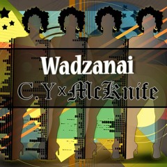 Wadzanai [Produced by Mcknife]