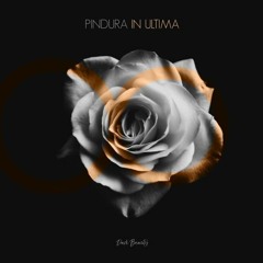 Pindura - In Ultima (Radio Edit)