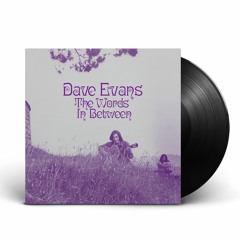 Dave Evans - The Words in Between