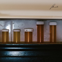 CNCPT - Peonia (12")