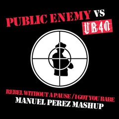 Public Enemy vs. UB40 - Rebel Without A Pause / I Got You Babe (Manuel Perez Mashup) FREE DL