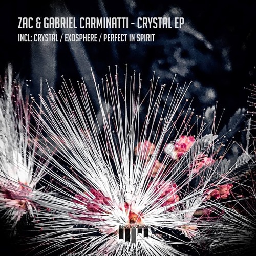 ZAC, Gabriel Carminatti - Crystal (Original Mix) PREVIEW (Beat Boutique Records)