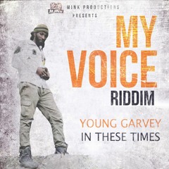 Young Garvey - In These Times