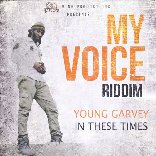 Young Garvey - In These Times